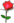 :rose: